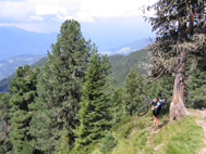 zum Vergr��ern klicken