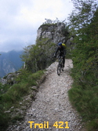 Trail 421